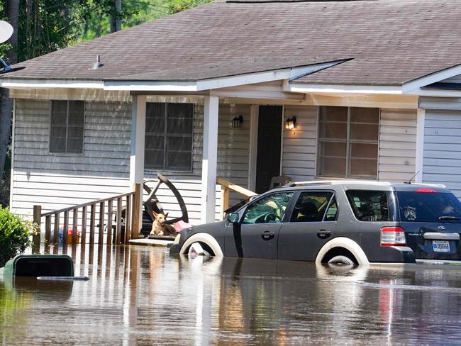 STATESBORO, GEORGIA - AUGUST 7: A dog can be seen sitting on a front stoop of a home in the Allen Circle neighborhood where many homes are cars have been flooded due to excessive rains on August 7, 2024 in Statesboro, Georgia. Tropical Storm Debby has stalled over the South East, causing flooding and power outages throughout the region.   Megan Varner/Getty Images/AFP (Photo by Megan Varner / GETTY IMAGES NORTH AMERICA / Getty Images via AFP)