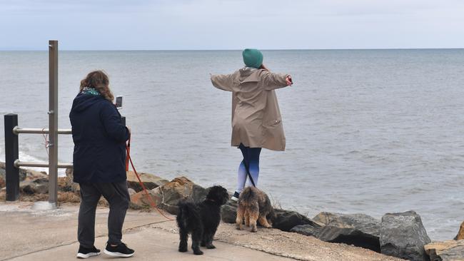 Walkers and dogs between Glenelg and Brighton on Thursday afternoon. Picture: Keryn Stevens