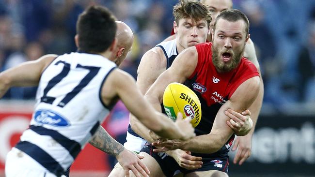 Max Gawn had a fantastic games against the Cats. Picture: Michael Klein