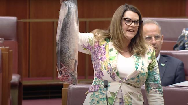 Senator Sarah Hanson-Young is the longest-serving Greens Senator.