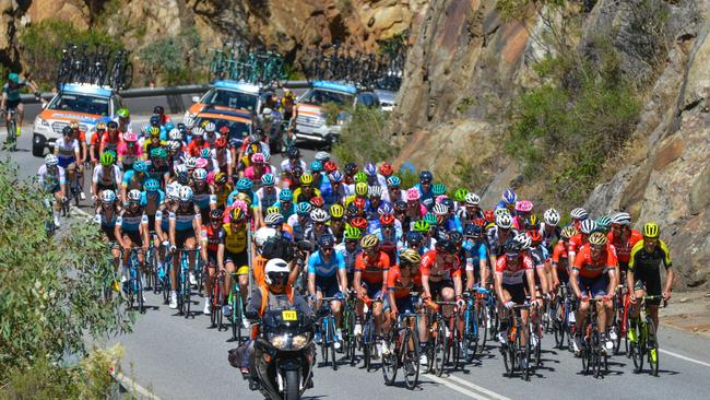 The peloton rides up Gorge Road on Friday. Picture: AFP Photo / Brenton Edwards