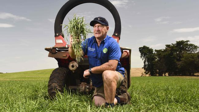 Lush pastures: Ebony Davis and father Reggie Davis, Cobden, with a new feed crop for their dairy cows of hummer fescue. Picture: Dannika Bonser