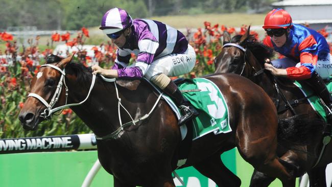 All Cerise heads to Flemington after two good wins in Sydney.