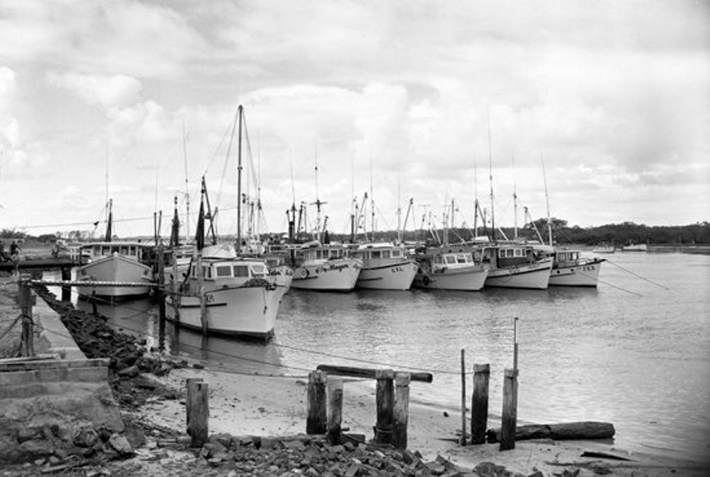 Prawning fleet 1965. (Courtesy Sunshine Coast Council Heritage Library)