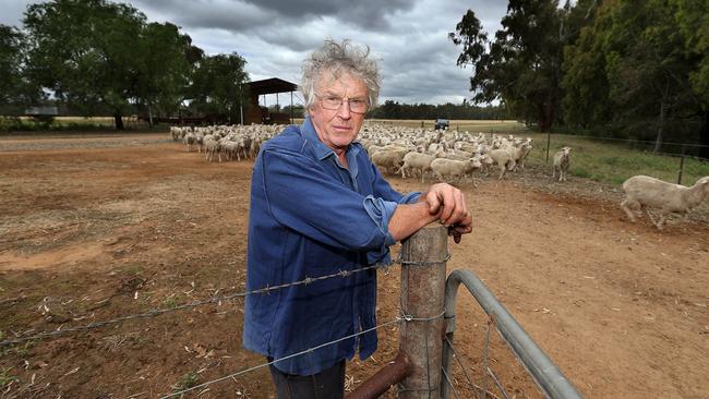 For the past 27 years Duncan has managed Bogabigal, a 1600 hectare property on the outskirts of Forbes, in Western NSW. Picture: Gary Ramage