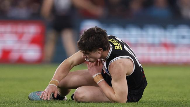 MELBOURNE, AUSTRALIA - MAY 04:  Darcy Wilson of the Saints recovers from a heavy hit  during the round eight AFL match between St Kilda Saints and North Melbourne Kangaroos at Marvel Stadium, on May 04, 2024, in Melbourne, Australia. (Photo by Darrian Traynor/Getty Images)