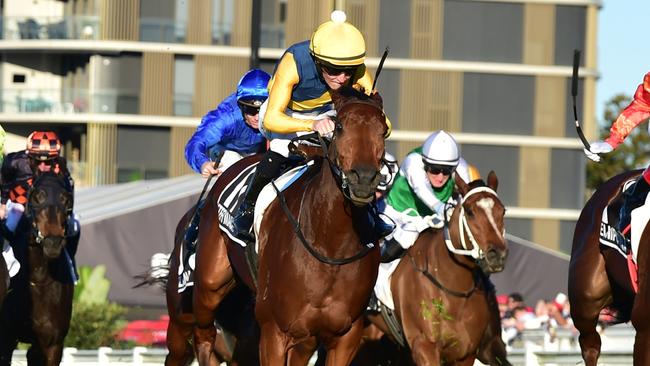 Stefi Magnetica won the Group 1 Stradbroke Handicap during the Queensland winter carnival. Picture: Grant Peters/Trackside Photography