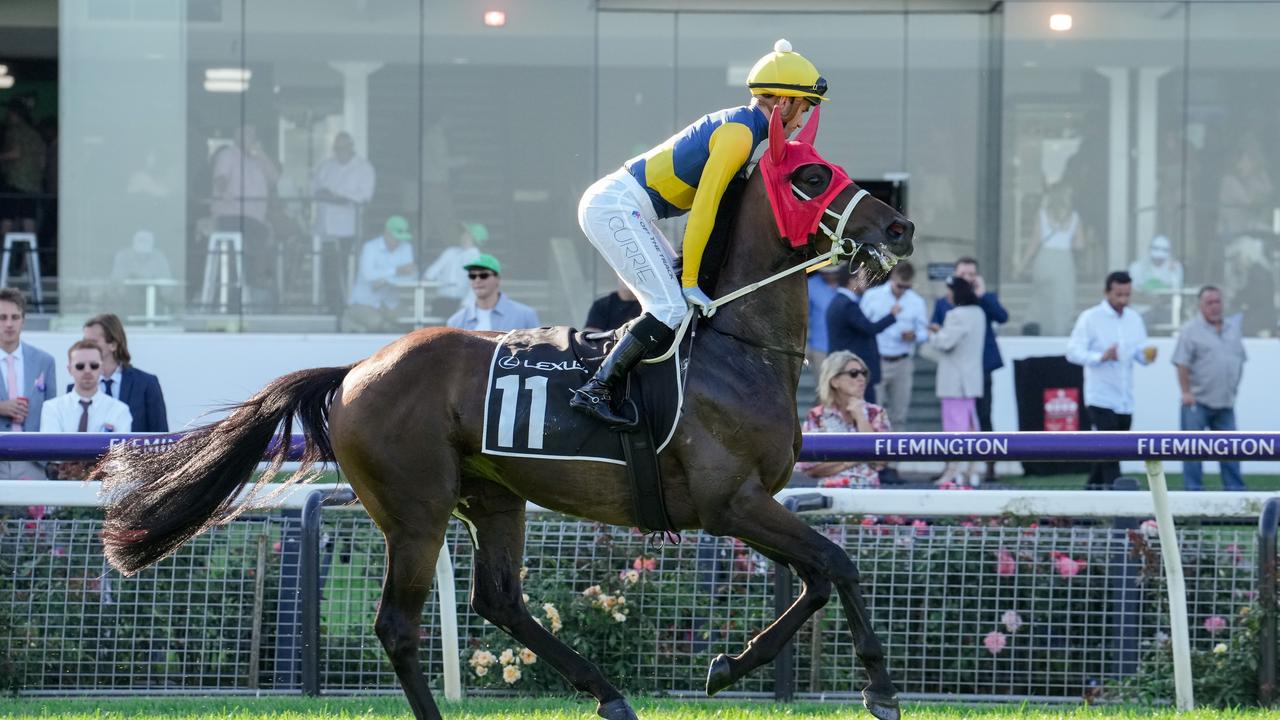 Mostly Cloudy (IRE) is an out and out stayer. Photo by George Sal/Racing Photos via Getty Images)