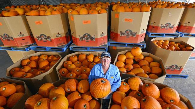 CARVING UP: Queenslanders can carve their own Halloween pumpkins grown in their home state by Bowen based Stackelroth Farms pumpkin grower Belinda Williams. Picture: Staff Photographers