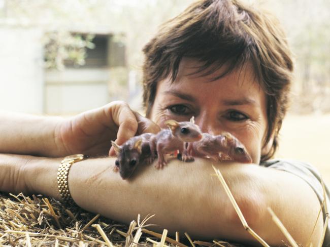 A Portrait of Australia: The best stories from 30 years of Australian Geographic. Woman with three baby quolls on her arm. Photo by Mitch Reardon