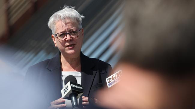 NSW Environment Minister Penny Sharpe announced aerial shooting in October. Picture: David Swift