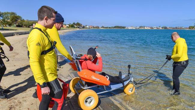 Volunteers help Yvette return to the water once again. Picture: Brenton Edwards