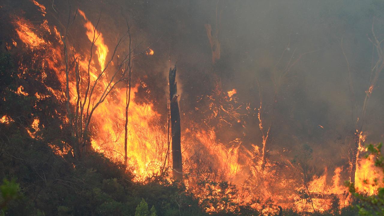 The 2019 Cudlee Creek bushfires tore through more than 70 homes in the Adelaide Hills. Picture: Phil Williams