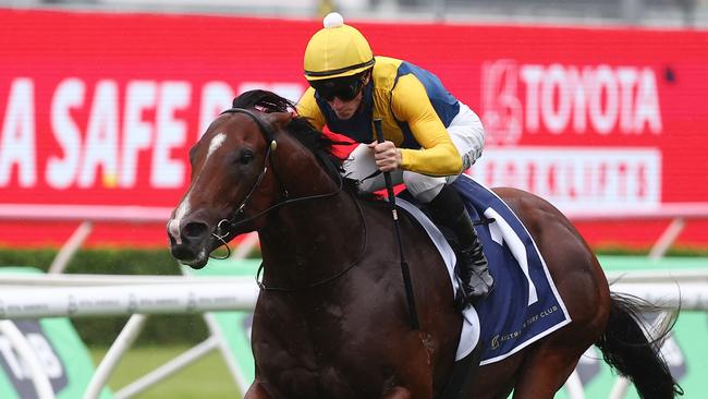 James McDonald piloted Storm Boy in an exhibition gallop at Randwick Kensington on Wednesday. Picture: Jeremy Ng/Getty Images