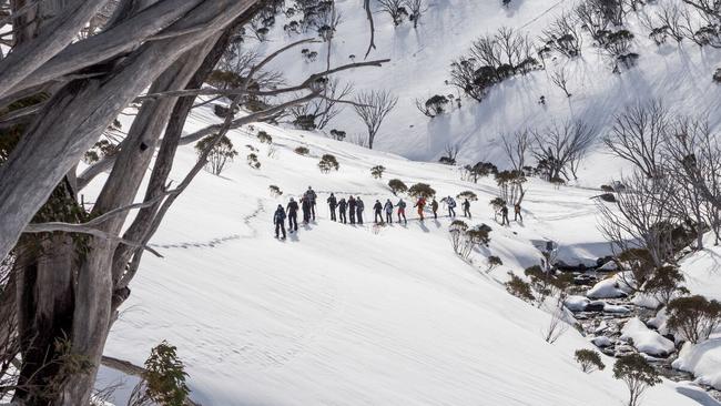 Guthega creek. Picture: Jakob Kennedy / Lets Split