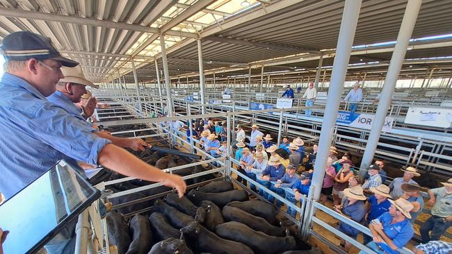 Buyers line the rails at the Wodonga store sale.