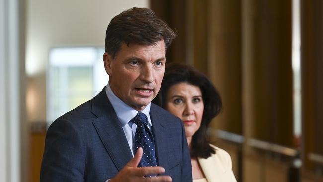 Opposition Treasury spokesman Angus Taylor and Senator Jane Hume. Picture: NCA NewsWire / Martin Ollman