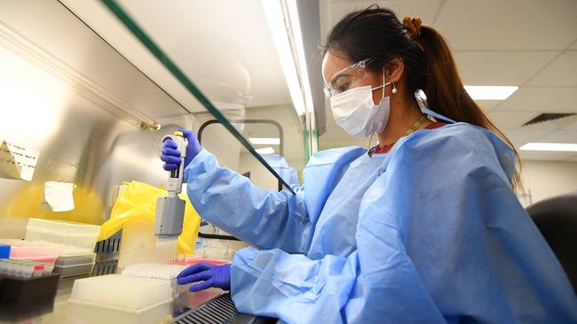 QML scientist Rachelle Alcaraz tests swabs for COVID-19 at a Brisbane laboratory. Picture: NCA NewsWire / Dan Peled