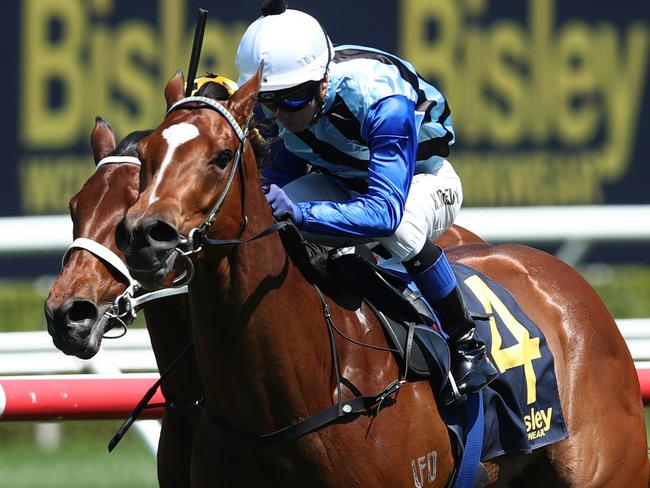 SYDNEY, AUSTRALIA - OCTOBER 14: Kerrin McEvoy riding Arctic Glamour wins Race 3 The Bisley Workwear Reginald Allen Quality during Sydney Racing at Royal Randwick Racecourse on October 14, 2023 in Sydney, Australia. (Photo by Jason McCawley/Getty Images)