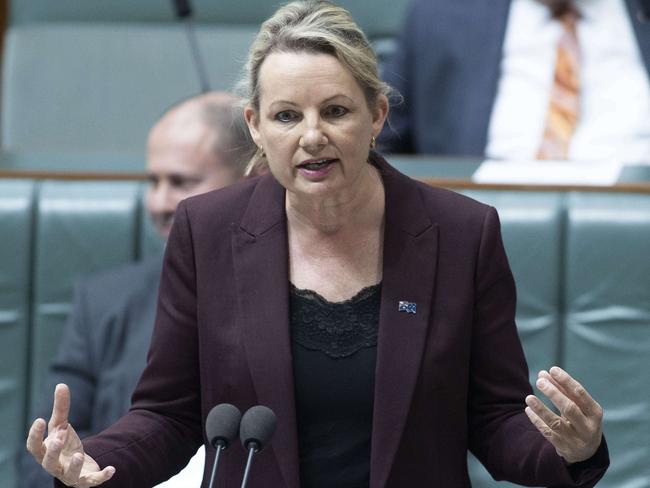 Environment Minister Sussan Ley is launching a National Plastics Plan today. Picture: NCA NewsWire / Gary Ramage