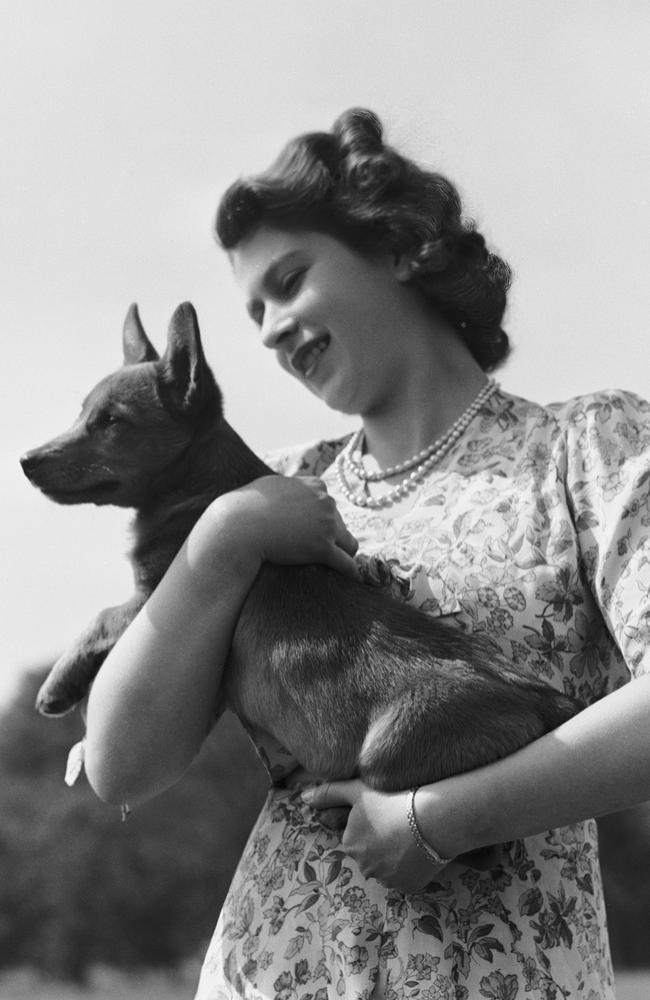 Princess Elizabeth with her first pet corgi Susan in 1944. Picture: Lisa Sheridan/Hulton Archive/Getty Images