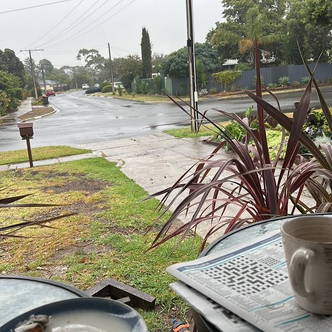 Ms Hodson said her front yard was exposed without a fence.