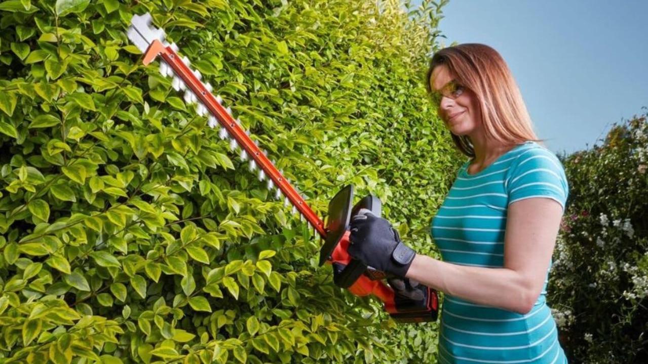 ‘Really good value’ hedge trimmer for your garden