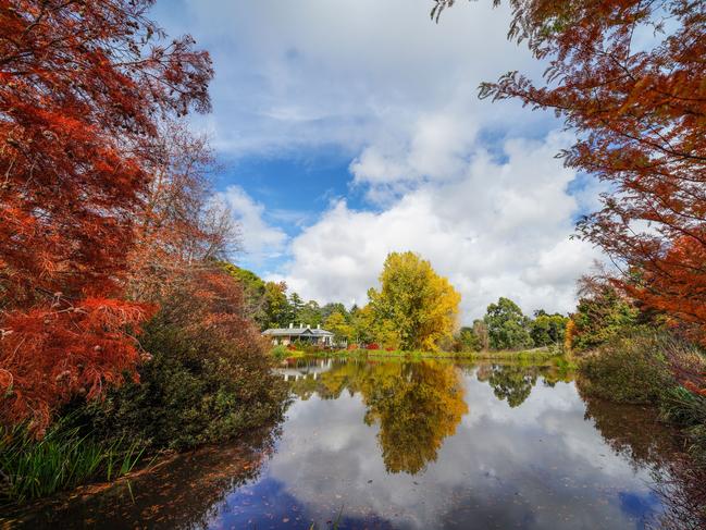 EMBARGO FOR TWAM 25 JUNE 2022. FEE MAY APPLY. Cooinda Gardens in the Adelaide Hills. Owned by Nigel Steele Scott and created by his late wife Chris. Photo: Peter Knights