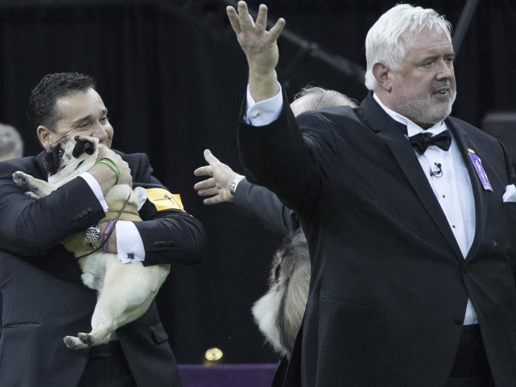 Handler Esteban Farias hugs Biggie, a pug, after he won the Toy group competition during the 142nd Westminster Kennel Club Dog Show, Monday, Feb. 12, 2018, at Madison Square Garden in New York. Biggie won best in group. (AP Photo/Mary Altaffer)