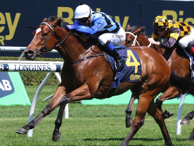 Progressive filly Arctic Glamour can bring up the hat-trick in the Callander-Presnell at Randwick on Saturday. Picture: Grant Guy