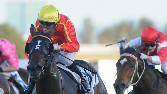 Jeff Lloyd extends his lead in the Brisbane metropolitan jockeys premiership aboard Bound For Love at the Gold Coast yesterdat. Pictures: Natasha Wood/Trackside Photography