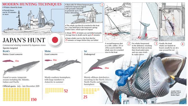 Commercial whaling resumed by Japanese crews