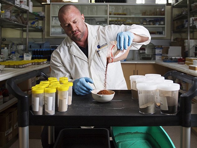 Professor Ed Burton of Southern Cross Geoscience is looking at the levels of a toxic element in bushfire affected soil.