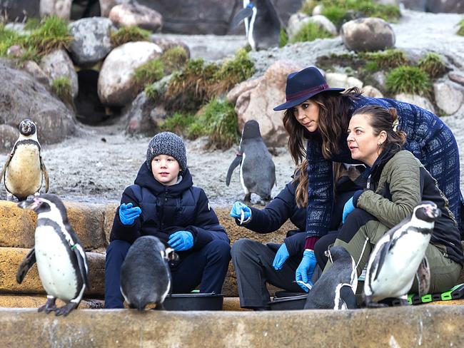 Crown Princess Mary of Denmark with her twins, Prince Vincent and Princess Josephine, feeding the penguins in 2022 before they cut the first sod for what would be Mary’s Australian Garden at Copenhagen Zoo. Picture: Ole Jensen/Getty Images