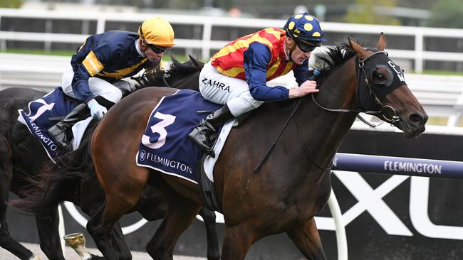 Through Irish Eyes (Mark Zahra) wins VRC St Leger at Flemington in 2021.