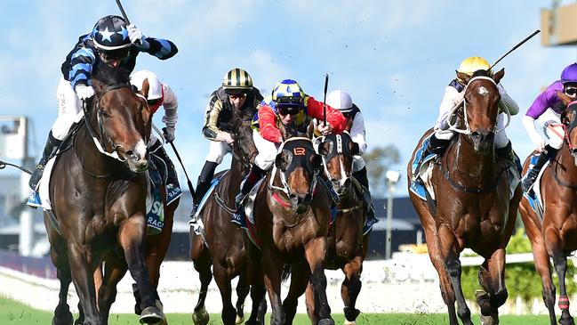 The number of vets and swab collection officers on race days in Queensland won’t change. Picture: Trackside Photography