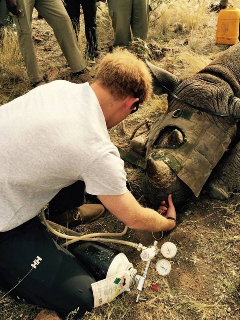 Harry has never been afraid to get his hands dirty for charity. Picture: Kensington Royal