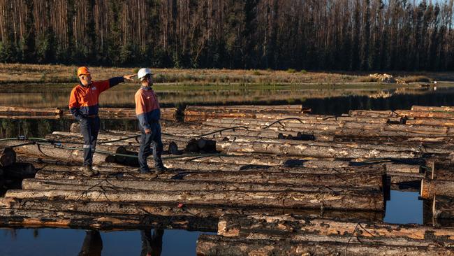 KIPT workers Brian Stewart and David Oselton at Macgill dam, KI where fire-damaged logs are being stockpiled. Kangaroo Island. Picture: Amy Pysden