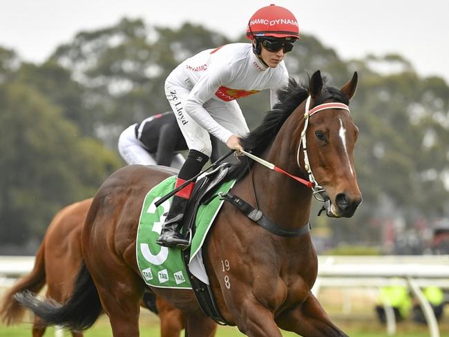 A double for Zac Lloyd at Warwick Farm on Wednesday put him within two wins of Dylan Gibbons in the Sydney apprentice premiership. Picture: Bradley Photos