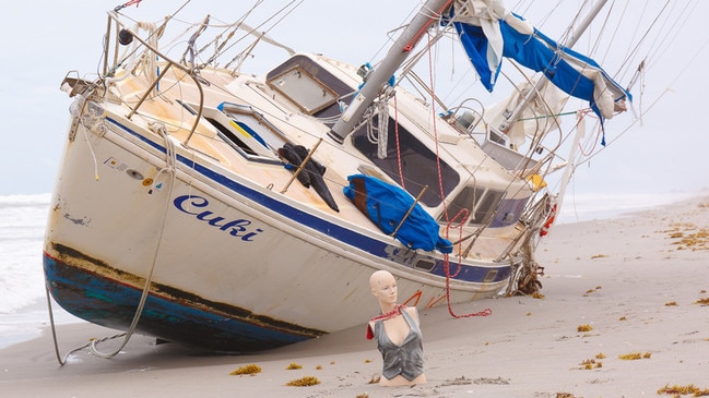 Cuki on the Florida shore. Picture: Ian Gronosky.