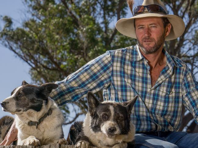 DOGS OF OZ. Bernie Shakeshaft with dogs Girl and Lou. Picture: Clayton Rose