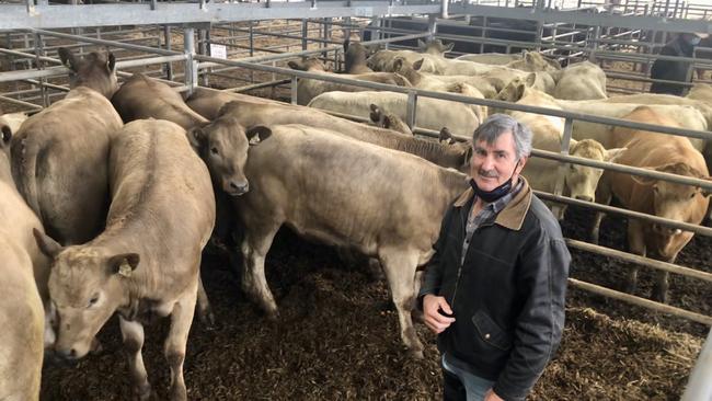 Strong market: Renard Blond stud owner Ian Fox from Cobram at Yea store cattle sale.