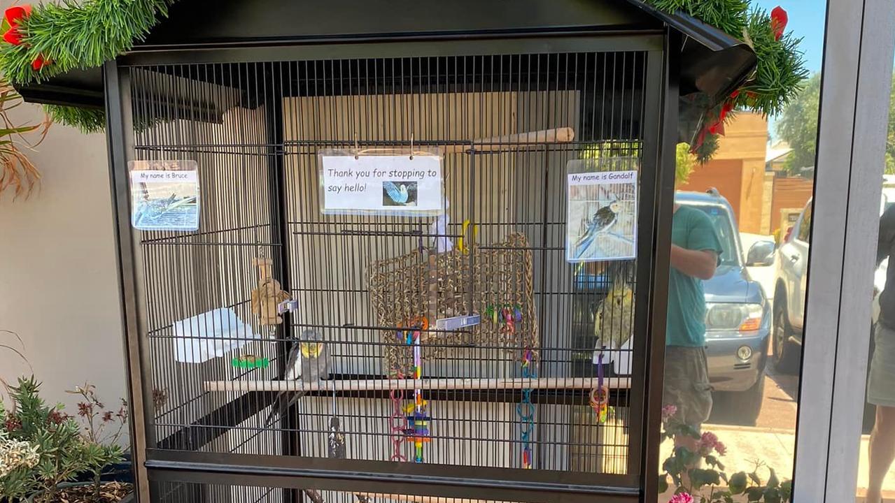 Vet vs vegan: Perth veterinarian sues activist Tash Peterson over 'bird  slavery' claims