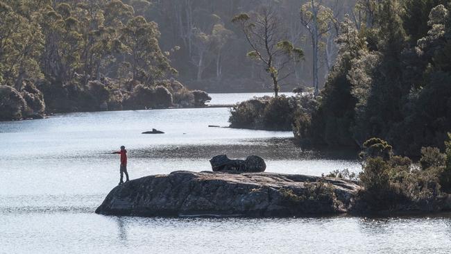 Walker and trout fisher Richard Webb trout fishing off Halls Island on Lake Malbena.