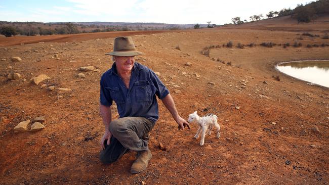 Farmer Les Jones on his property at Goolhi where most of his sheep have died as a result of the drought. Picture: Sam Ruttyn