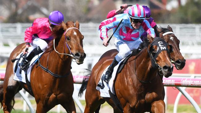 Al Galayel scored an impressive win at Caulfield in September. Picture: Getty Images