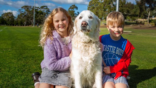 Molly Taylor, aged 7, and Ray Taylor, aged 5, with dog Phoebe at the million paws walk at Queens Domain in Hobart in Sunday 25th May 2025. Picture: Linda Higginson