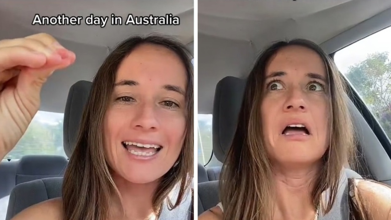 Expat shocked by Aussie bird’s ‘freaky’ act – news.com.au
