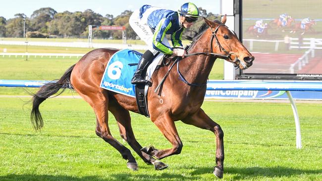 Mantua, pictured winning at Sandown Hillside in September, is Daniel Sankey’s best bet of the day at Caulfield Heath on Boxing Day. Picture: Pat Scala / Racing Photos