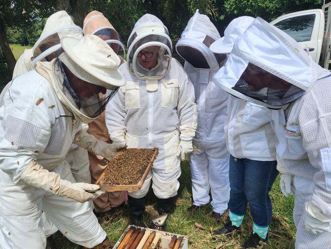 Far North Coast Beekeepers Varroa Mite demonstration. Picture: Chris Shands